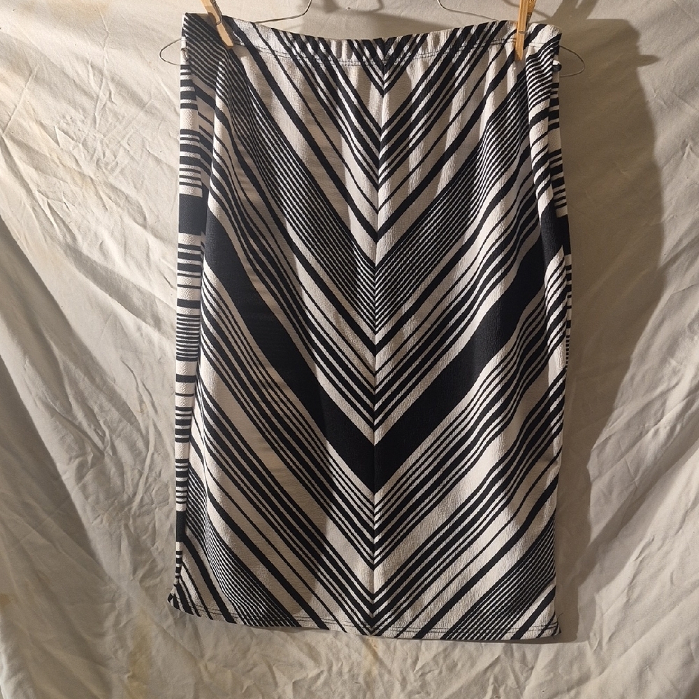 Caron Sport Women's Skirt.   Box 24